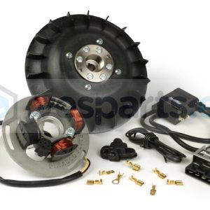 Encendido electrónico 12 V PINASCO Vespa Sprint,150S